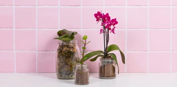 Elevate Your Home with Glass